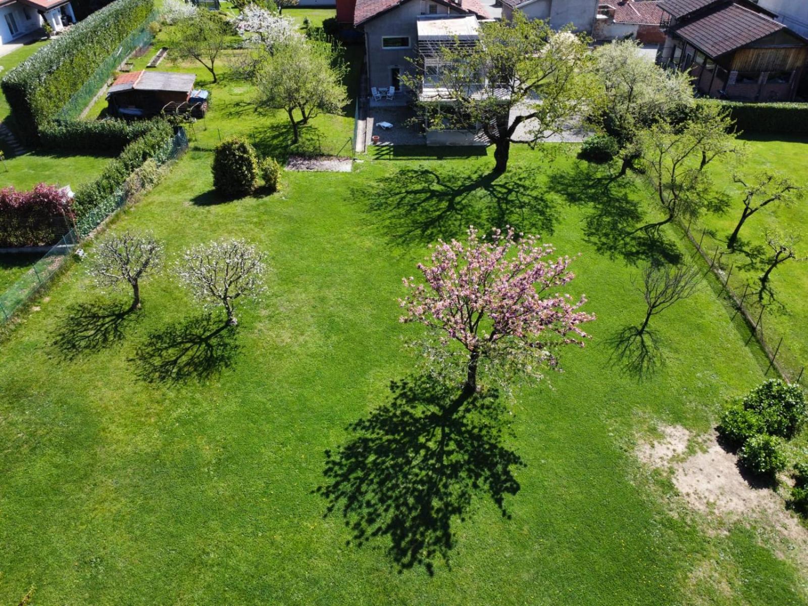 Casa Levis Apartment Biella Bagian luar foto